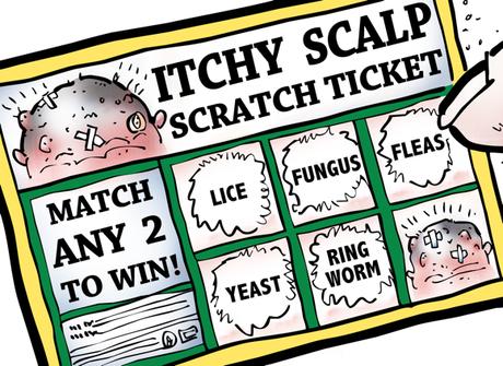 detail image bogus scratch-off lottery ticket called itchy scalp match any two scalp diseases to win, lice, fungus, fleas, yeast, ringworm, fingertip scratching ticket