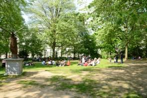 DSC_0645 DSC_0645