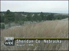 whitebegin A view of the terrain around Whiteclay, Nebraska. A wolverine was sighted on the South Dakota border about 17 miles east of here.