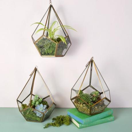 We've found 3 completely different uses for our pentagon brass terrariums, take a look now and check out how versatile they are!