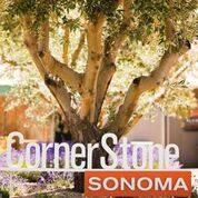WITWIB? @CornerstoneSonoma | Sunset Celebration Weekend WITWIB? @CornerstoneSonoma | Sunset Celebration Weekend
