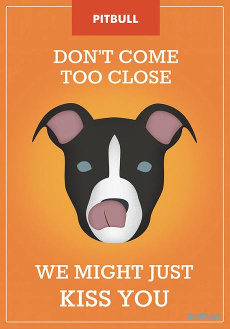 In a dog eats cats world pitbull-logo-watermark
