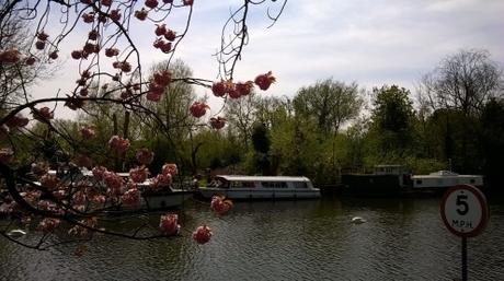 River Yare at Thorpe St Andrew River Yare at Thorpe St Andrew