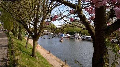 Rowing on the Yare Rowing on the Yare