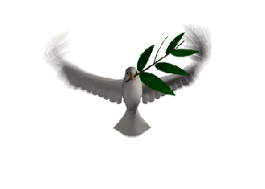 Pentecost Sunday Devotional: How to listen to the Holy Spirit Holy Spirit