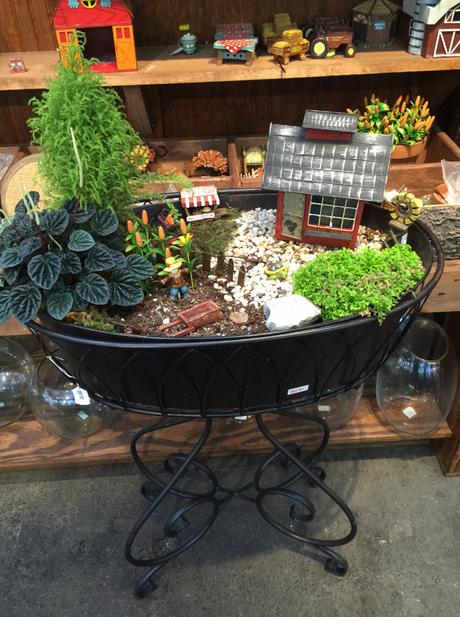 This was our inspiration for the container fairy garden from Homestead Gardens.