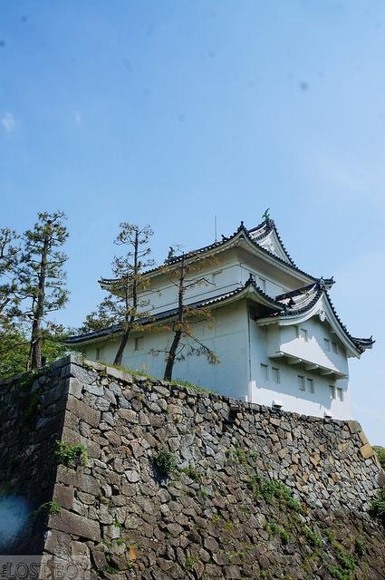 What to See and Do in Nagoya: A Castle, a Shrine, and a Temple