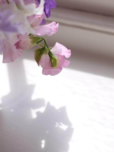 In A Vase On Monday – Sweet Pea Success & A Winner In A Vase On Monday – Sweet Pea Success & A Winner