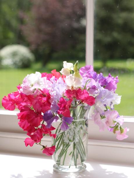 In A Vase On Monday – Sweet Pea Success & A Winner In A Vase On Monday – Sweet Pea Success & A Winner