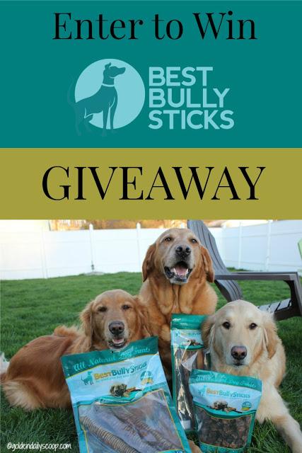 Get Your Chew on With Best Bully Sticks