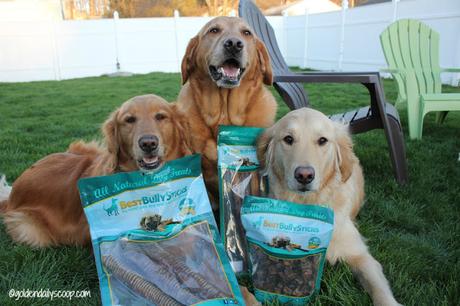 best bully sticks for dogs review and giveaway