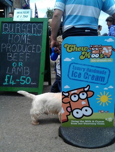 Top 10 Funny Dogs Interacting With Their Environment Dog Interacting With Cow Sign