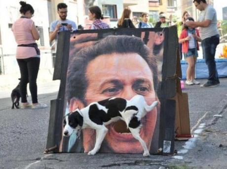 Top 10 Funny Dogs Interacting With Their Environment Top 10 Funny Dogs Interacting With Their Environment