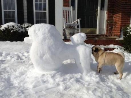 Top 10 Funny Dogs Interacting With Their Environment Dog Sniffing Snow Sculpture Of Other Dog