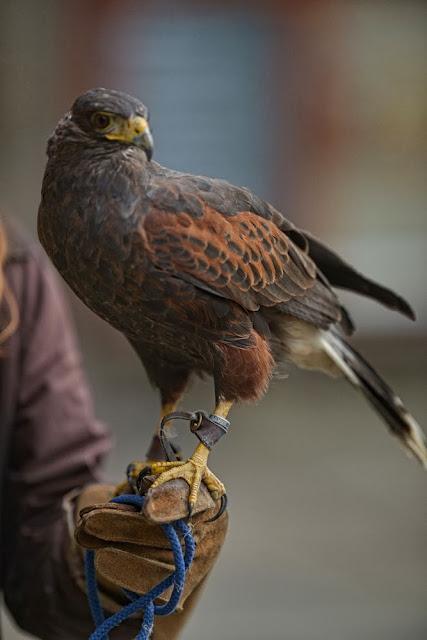 Meet Shaughan's Friend Issy #LondonPhotoblog Meet Shaughan's Friend Issy #LondonPhotoblog