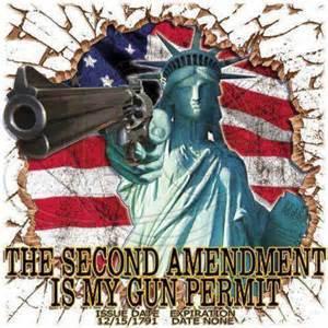 Judge halts enforcement of a portion of DC’s strict gun law second amendment3