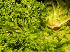 vitamin K dark green leafy vegetables photo