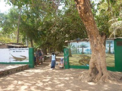 Stroking Crocodiles at Kachikally Pool, Bakau, The Gambia Entrance to Kachikally Crocodile Pool, Bakau, The Gambia