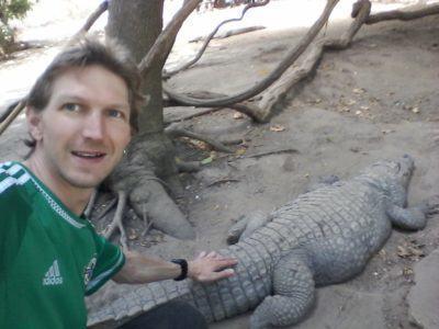 Stroking Crocodiles at Kachikally Pool, Bakau, The Gambia Stroking Crocodiles at Kachikally Pool, Bakau, The Gambia