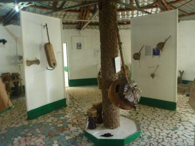 Stroking Crocodiles at Kachikally Pool, Bakau, The Gambia Museum at Kachikally Crocodile Pool