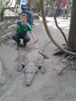 Stroking Crocodiles at Kachikally Pool, Bakau, The Gambia Stroking Crocodiles at Kachikally Pool, Bakau, The Gambia