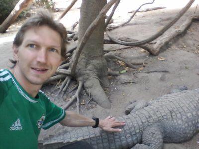 Stroking Crocodiles at Kachikally Pool, Bakau, The Gambia Stroking Crocodiles at Kachikally Pool, Bakau, The Gambia