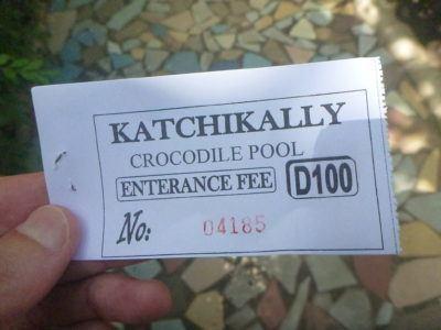 Stroking Crocodiles at Kachikally Pool, Bakau, The Gambia Stroking Crocodiles at Kachikally Pool, Bakau, The Gambia