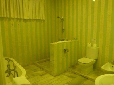 My Five Star Paradise: Living It Up at the Coco Ocean Resort and Spa, The Gambia My luxury bathroom (1)
