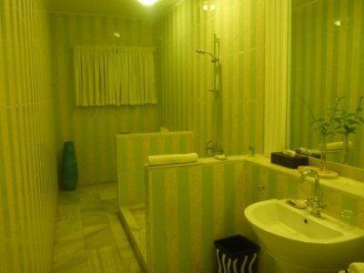 My Five Star Paradise: Living It Up at the Coco Ocean Resort and Spa, The Gambia My luxury bathroom (2)