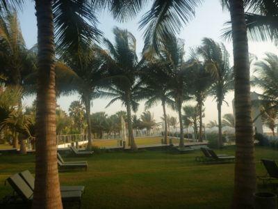 My Five Star Paradise: Living It Up at the Coco Ocean Resort and Spa, The Gambia Sun loungers by the beach