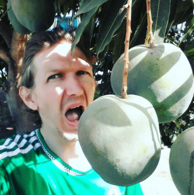 Staying at the Banana Lodge Apartments in Brufut Village, The Gambia Mango at Banana Lodge
