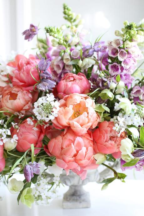 Spring Favorite: Peony Bloom Spring Favorite: Peony Bloom
