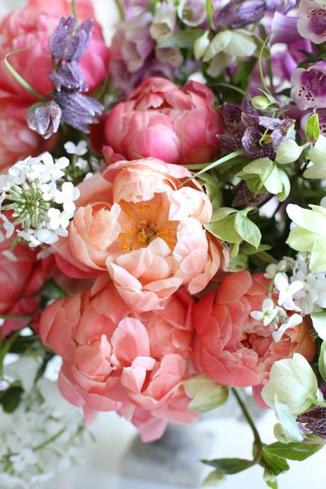 Spring Favorite: Peony Bloom Spring Favorite: Peony Bloom