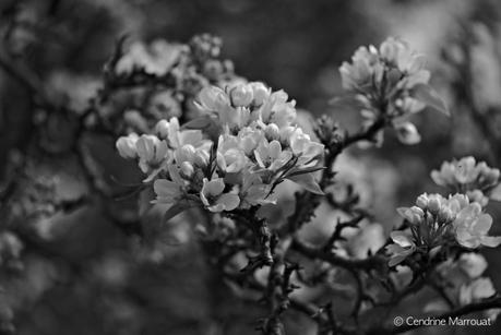 Spring 2016 (Part 1) Spring 2016 (Part 1)