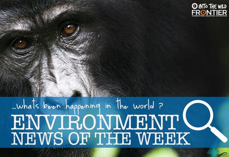Endangered Species And Edible Inventions | 16th - 22nd May 2016 Endangered Species And Edible Inventions | 16th - 22nd May 2016