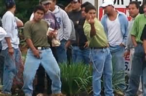 Evidence scant California’s licensed illegal immigrant drivers getting insurance illegal