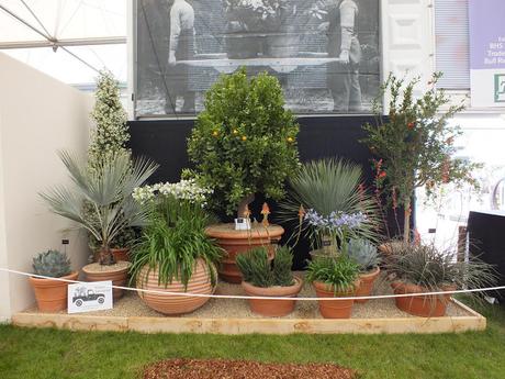 RHS Chelsea Flower Show 2016 - Outside and Inside the Floral Marquee