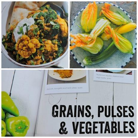 Healthy Speedy Suppers by Katriona Macgregor, cookbook review photo Grains Pulses and Vegetables_zps0yhacwaq.jpg