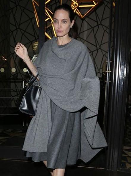 This makes perfect sense: Angelina Jolie gets new role as visiting professor at London School of Economics angelina jolie