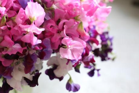 Sweet Pea Arrangement Sweet Pea Arrangement