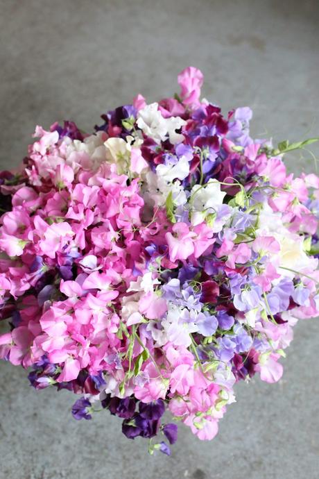 Sweet Pea Arrangement Sweet Pea Arrangement