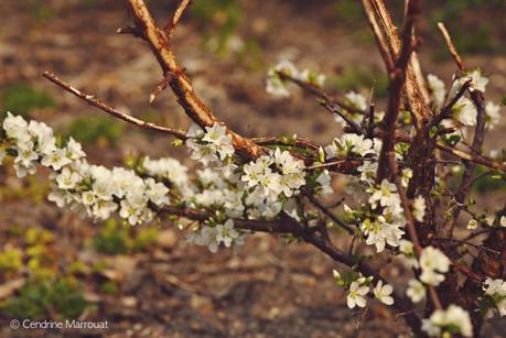 Spring 2016 (Part 2) Spring 2016 (Part 2)