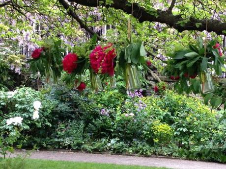 Inner Temple Garden Peonies in pots