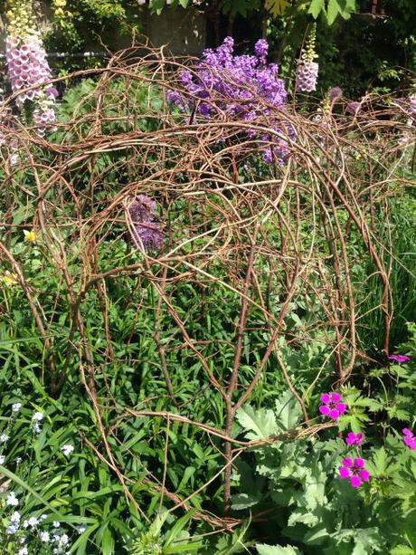 Inner Temple Garden Hazel supports 2