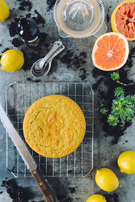 Desert Inspired Lemon, Ginger & Turmeric Cornmeal Layer Cake with Grapefruit Frosting & A Living Succulent // www.WithTheGrains.com