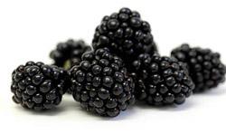 Fibre – Are You Getting Enough on Your Low-Carb Diet? Fibre – Are You Getting Enough on Your Low-Carb Diet?