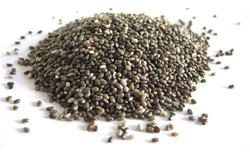 Fibre – Are You Getting Enough on Your Low-Carb Diet? Fibre – Are You Getting Enough on Your Low-Carb Diet?