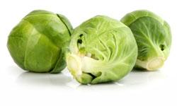 Fibre – Are You Getting Enough on Your Low-Carb Diet? Fibre – Are You Getting Enough on Your Low-Carb Diet?