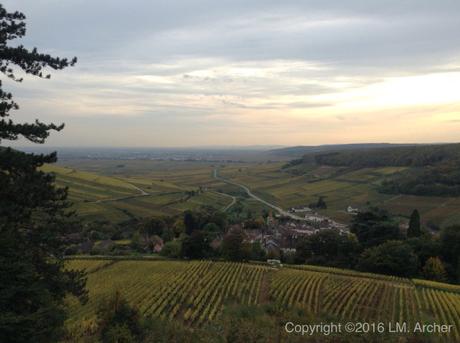 Chardonnay Day | 2016 Chardonnay Day | 2016