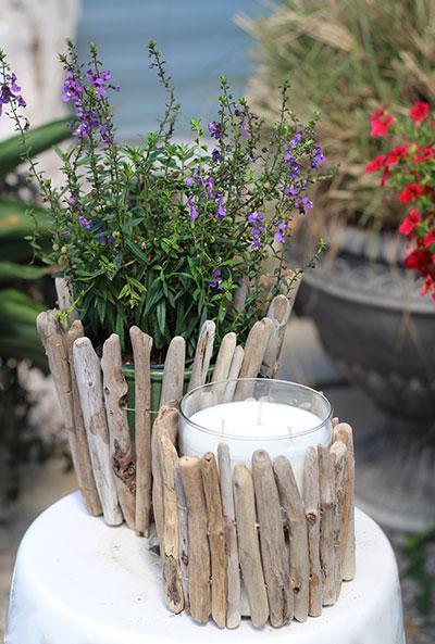 Driftwood_plant and candleholders